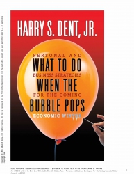 What to Do When the Bubble Pops: Personal and Busi...